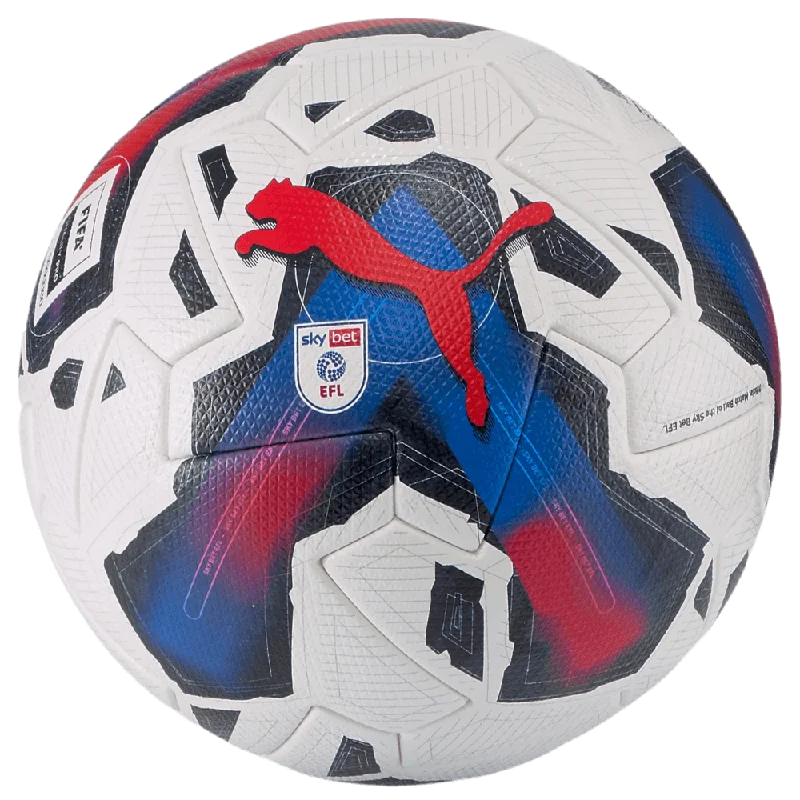 Puma Orbita 1 EFL Sky Bet Pro Match Ball